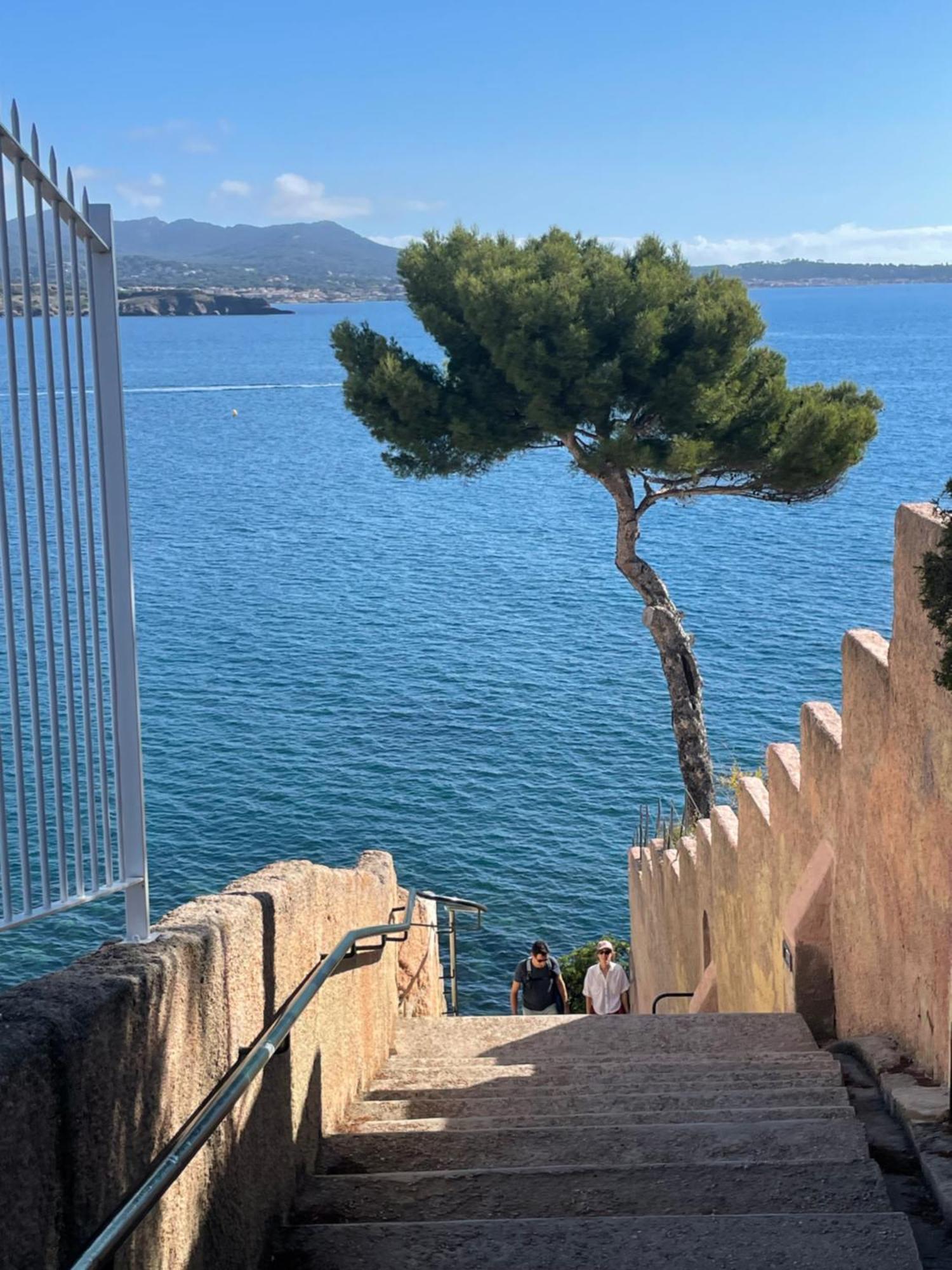 Chez Amali - Stielvolle Ferienwohnung In Der Provence Mit Terrasse برينيول المظهر الخارجي الصورة